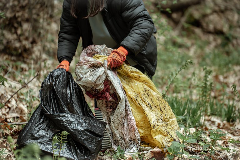 volunteer-girl-with-garbage-bag-cleans-up-garbage-forest_Foto-freepik.com.jpg  